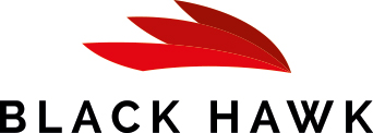 Black Hawk Consulting & Mentoring